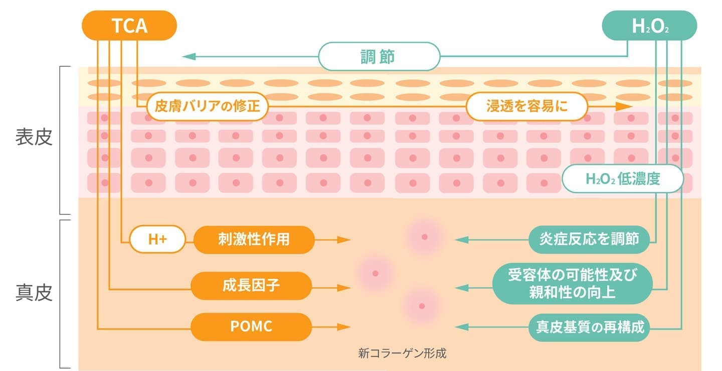 マッサージピールイメージ